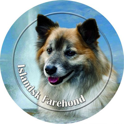 Dekal med Isländsk Fårhund