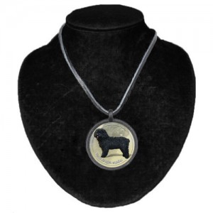 Halsband med Perro de Agua Espanol