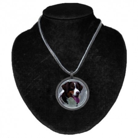 Halsband med Appenzeler Sennenhund