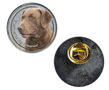 Pin med Chesapeake Bay Retriever