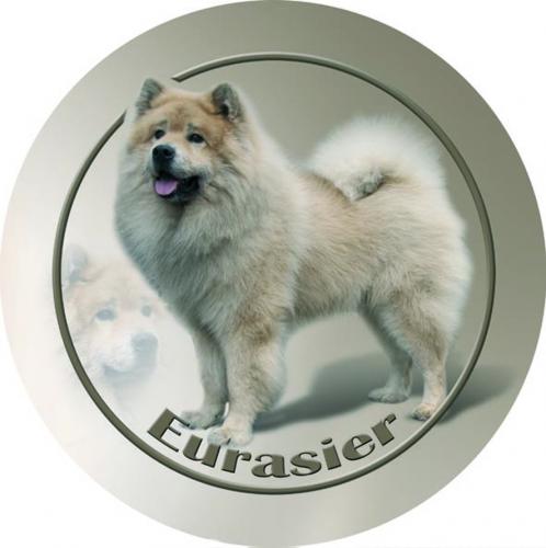 Dekal med Eurasier