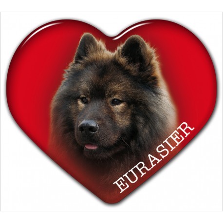 Dekal med Eurasier