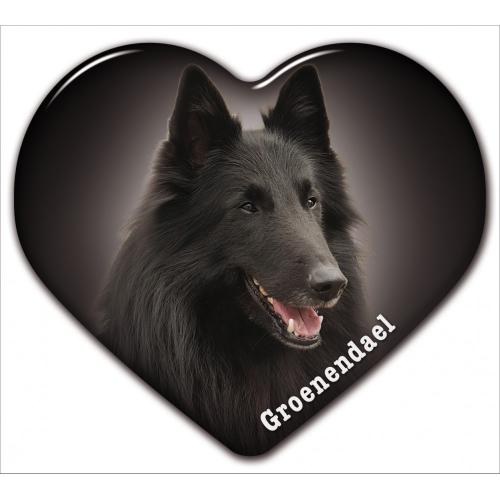 Dekal med Groenendael