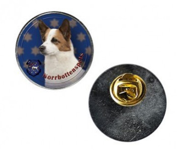 Pin med Norrbottenspets