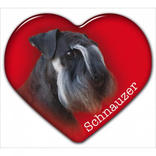 Dekal med Schnauzer