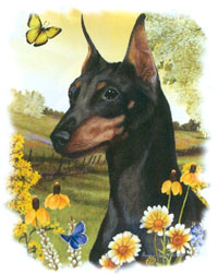 Tygkasse med Dvärgpinscher