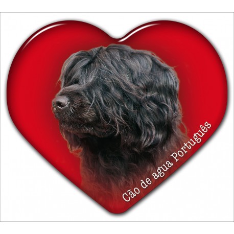 Dekal med Portugisisk Vattenhund