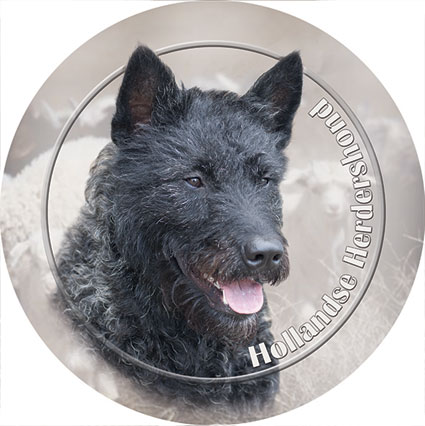 Dekal med Hollandse Herdershond