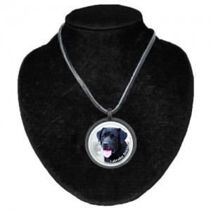 Halsband med Labrador