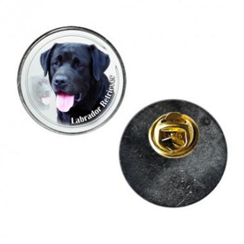 Pin med Labrador