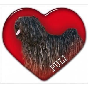 Dekal med en svart Puli