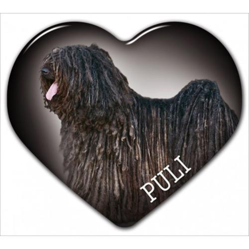 Dekal med en svart Puli