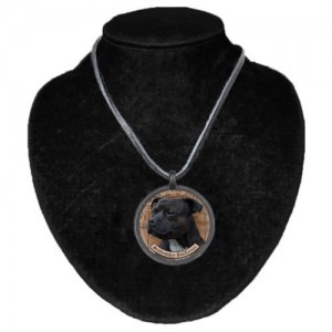 Halsband med Staffordshire Bullterrier