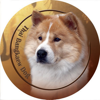Dekal med Thai Bangkaew Dog