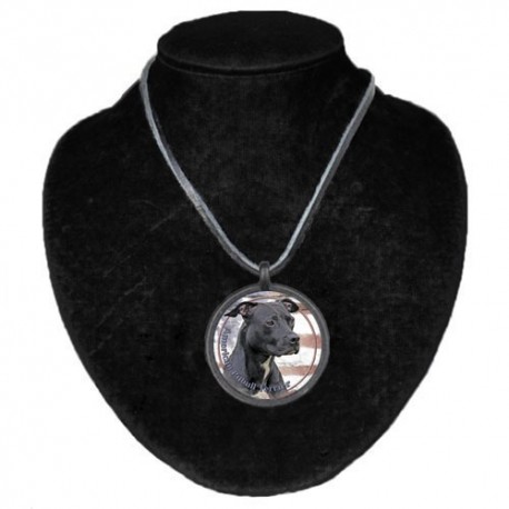 Halsband med American Pitbullterrier
