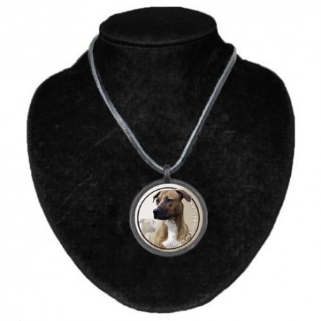 Halsband med American Pitbullterrier
