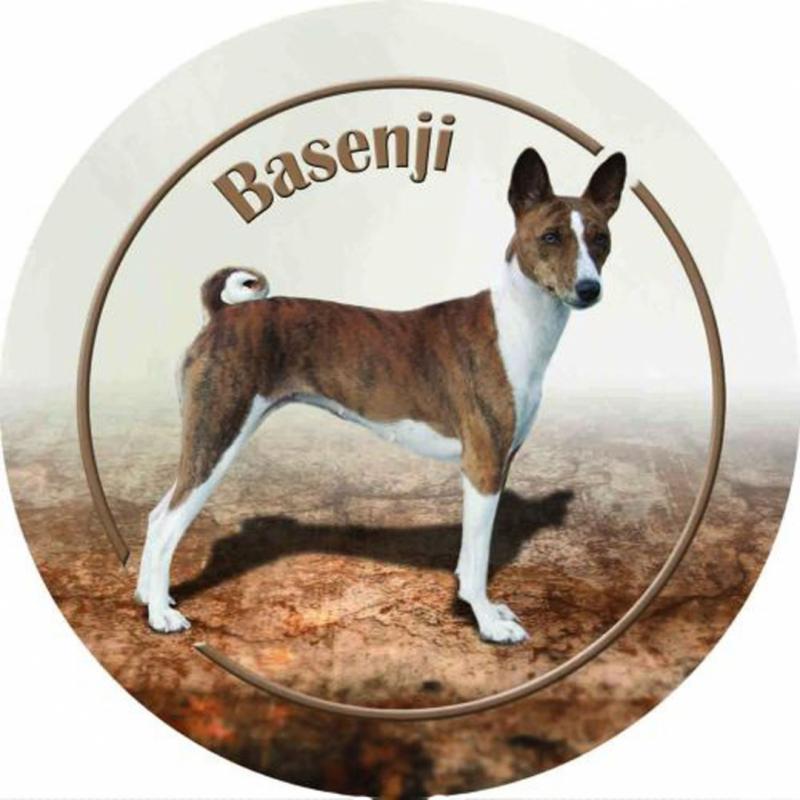 Dekal med Basenji
