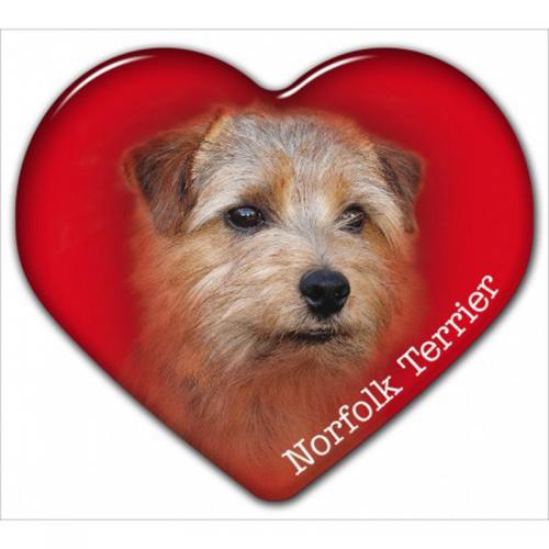 Dekal med Norfolkterrier