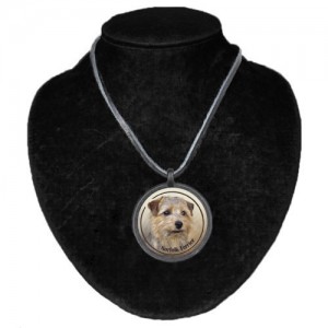 Halsband med Norfolkterrier