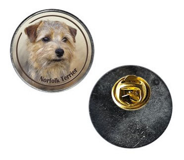 Pin med Norfolkterrier