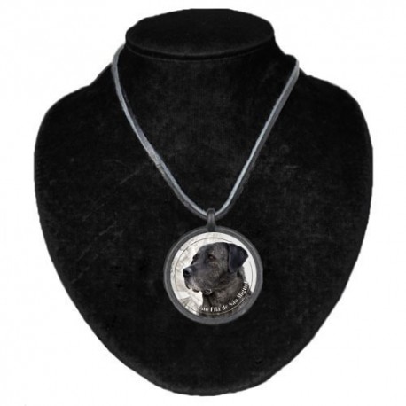 Halsband med Cao Fila de Sao Miguel