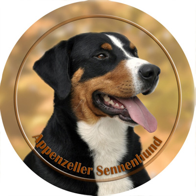 Dekal med Appenzeller Sennenhund