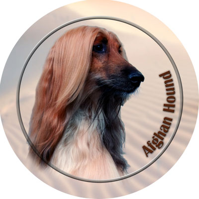 Dekal med Afghanhund