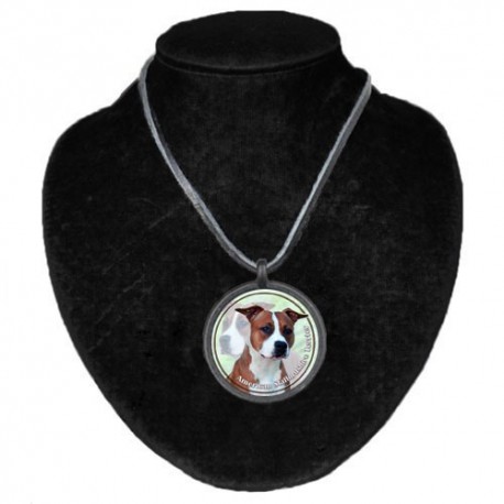 Halsband med American Staffordshire