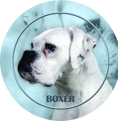 Dekal med Boxer