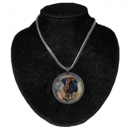 Halsband med Bullmastiff
