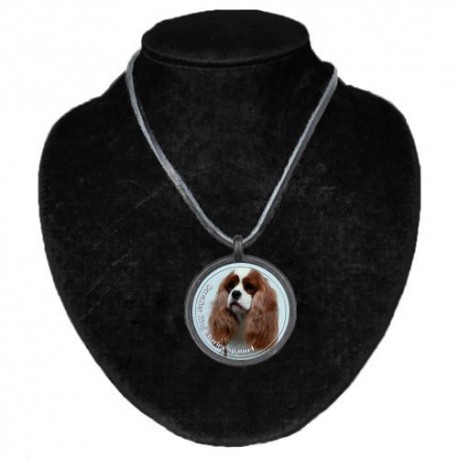 Halsband med Cavalier King Charles