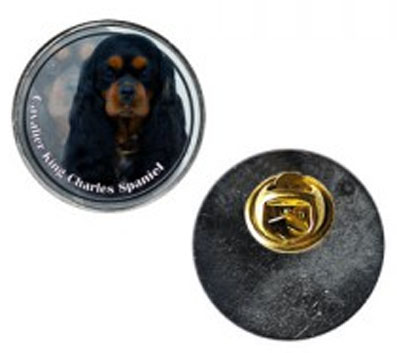 Pin med Cavalier King Charles