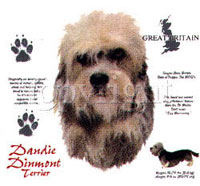 Huvjacka med Dandie Dinmont Terrier