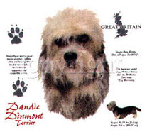 T-shirt med Dandie Dinmont Terrier