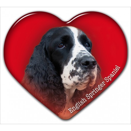 Dekal med Engelsk Springer Spaniel