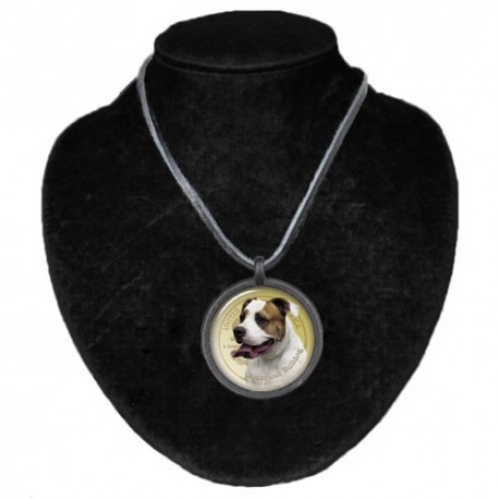 Halsband med Amerikansk Bulldog
