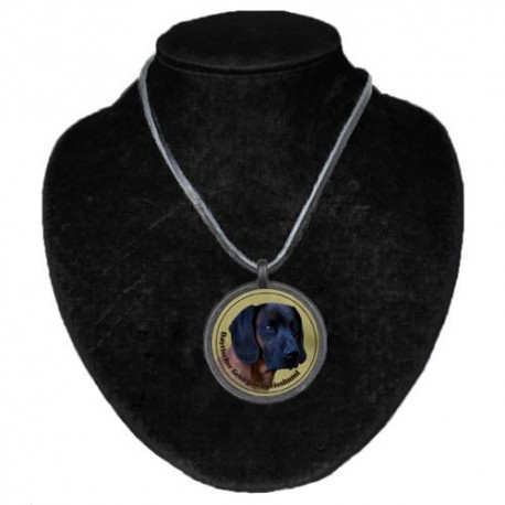 Halsband med Bayersk Viltspårhund