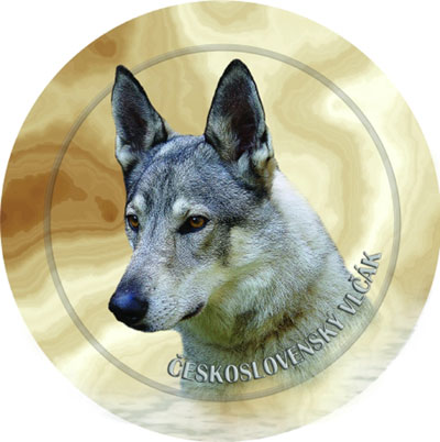Dekal med Ceskoslovenský Vlcak