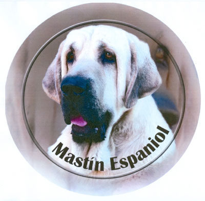Dekal med Mastin Espanol