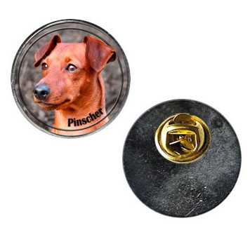 Pin med Pinscher