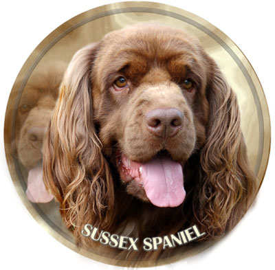 Dekal med Sussex Spaniel
