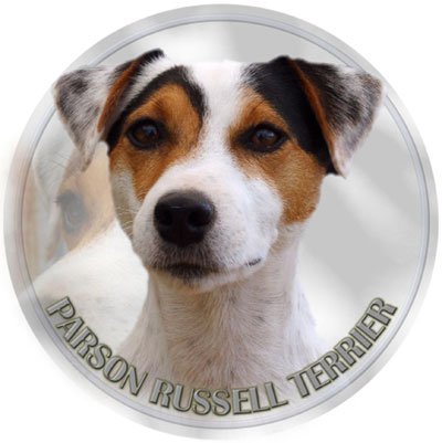 Dekal med Parson Russel Terrier