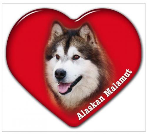 Dekal med Alaskan Malamute
