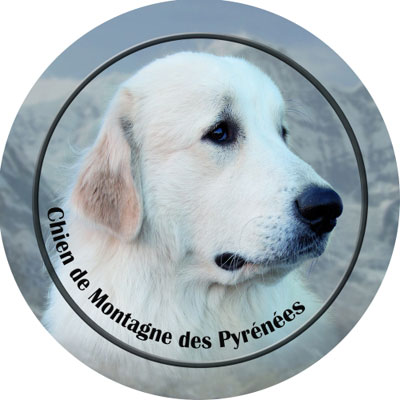 Dekal med Pyreneerhund