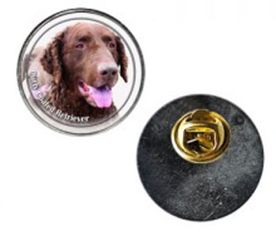 Pin med Curly Coated Retriever