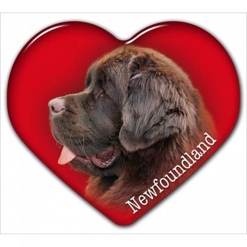 Dekal med New Foundland