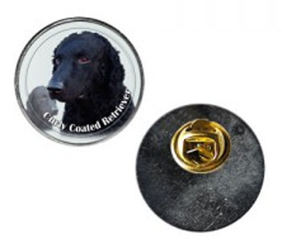Pin med Curly Coated Retriever
