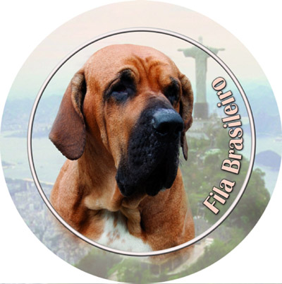 Dekal med Fila Brasileiro