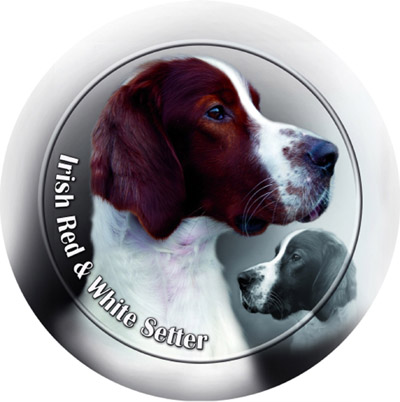 Dekal med Irländsk Röd o Vit Setter