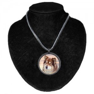 Halsband med Finsk Lapphund